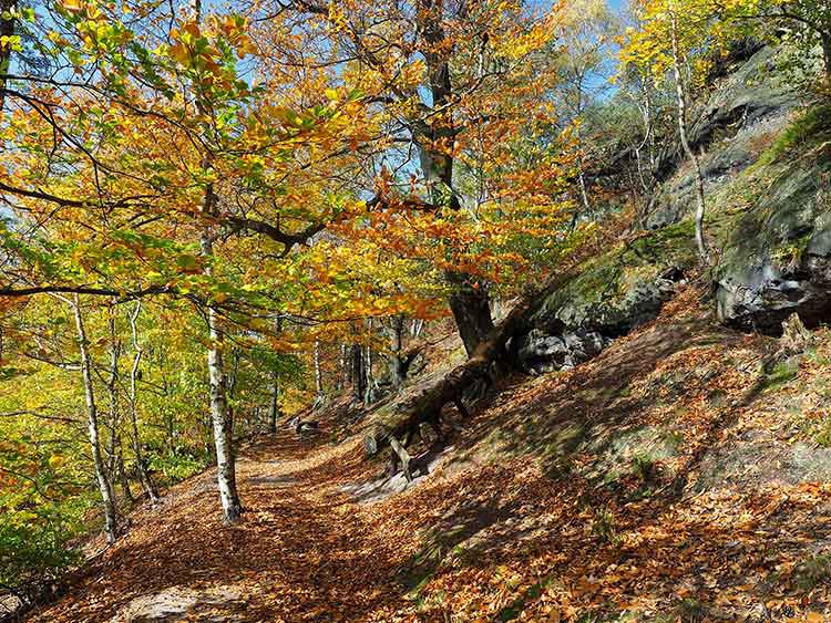 Schrammsteinweg - Sächsische Schweiz